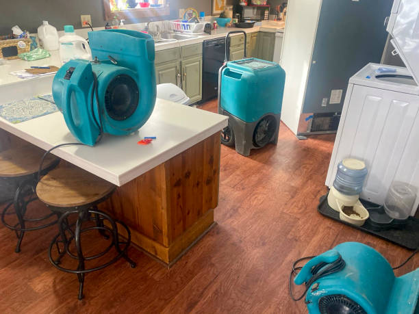 Best Professional water damage repair  in Amboy, WA