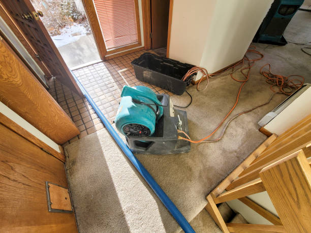 Best Water damage mitigation services  in Amboy, WA