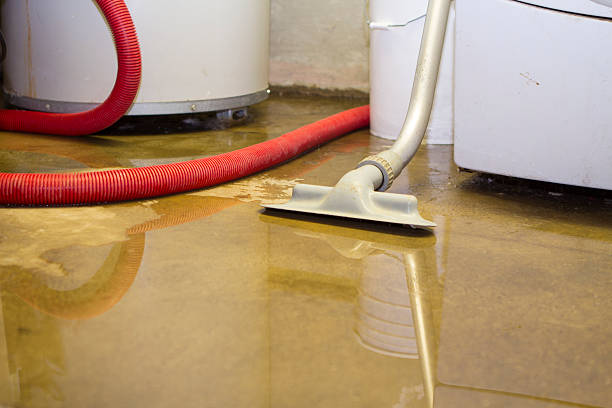 Best Mold removal after water damage  in Amboy, WA