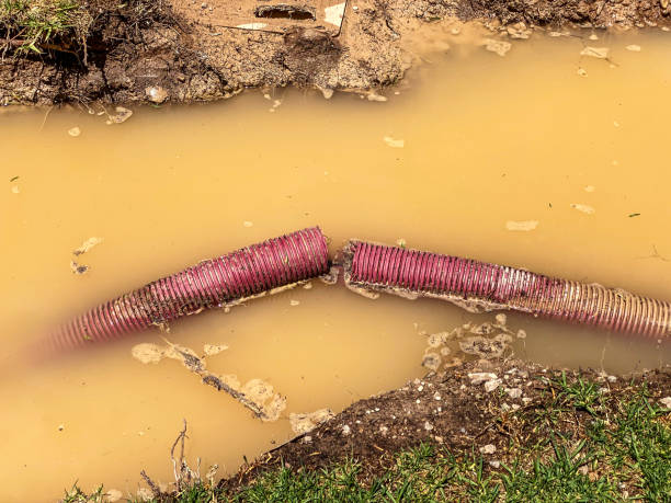 Best 24/7 water damage repair  in Amboy, WA
