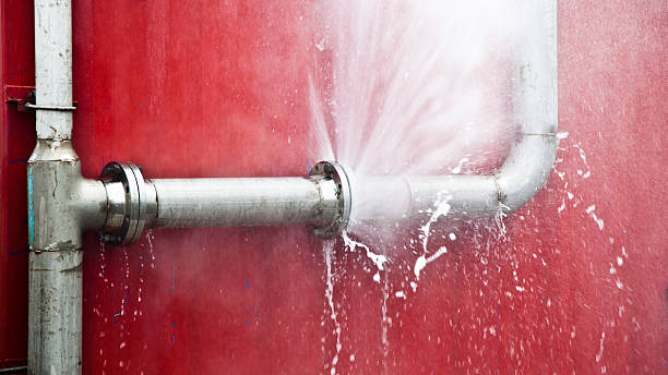 Carpet water damage restoration in Amboy, WA